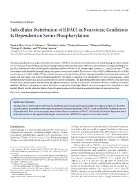 Subcellular Distribution of HDAC1 in Neurotoxic Conditions Is Dependent on Serine Phosphorylation