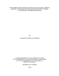University of Florida Thesis Or Dissertation Formatting Template