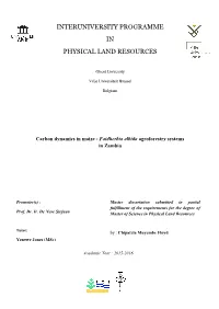 Carbon Dynamics in Maize - Faidherbia Albida Agroforestry Systems in Zambia