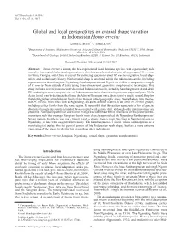 Global and Local Perspectives on Cranial Shape Variation in Indonesian Homo Erectus