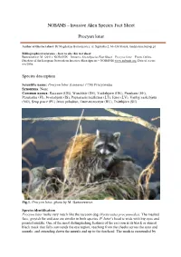 Invasive Alien Species Fact Sheet
