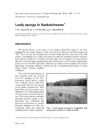 Leafy Spurge in Saskatchewan1