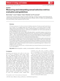 Measuring and Interpreting Sexual Selection Metrics: Evaluation and Guidelines