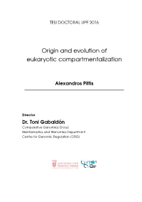 Origin and Evolution of Eukaryotic Compartmentalization