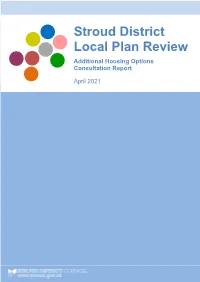 Additional Housing Options Consultation Report