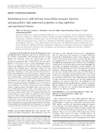 Interrelations/Cross Talk Between Transcellular Transport Function and Paracellular Tight Junctional Properties in Lung Epithelial and Endothelial Barriers