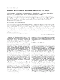Isolation of Mycobacterium Spp. from Milking Buffaloes and Cattle in Nepal