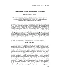 Leaf Peroxidase Isozyme Polymorphism of Wild Apple