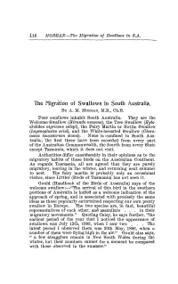 The Migration of Swallows in South Australia. by A