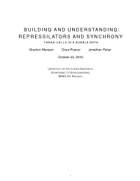Building and Understanding Repressilators and Synchrony
