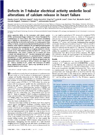 Defects in T-Tubular Electrical Activity Underlie Local Alterations of Calcium Release in Heart Failure