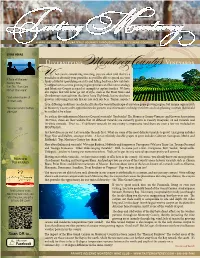 Varietals That Are Not Such Safe Bets