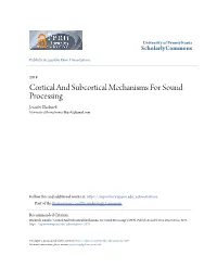 Cortical and Subcortical Mechanisms for Sound Processing Jennifer Blackwell University of Pennsylvania, Blaje42@Gmail.Com