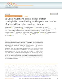 SUCLA2 Mutations Cause Global Protein Succinylation Contributing To