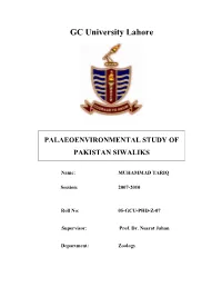 GC University Lahore
