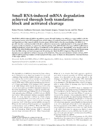 Small RNA-Induced Mrna Degradation Achieved Through Both Translation Block and Activated Cleavage