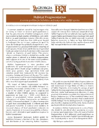 Habitat Fragmentation a Serious Problem for Bobwhites and Many Other Wildlife Species