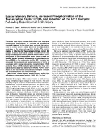 Spatial Memory Deficits, Increased Phosphorylation of the Transcription Factor CREB, and Induction of the AP-1 Complex Following Experimental Brain Injury