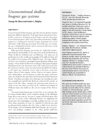 Unconventional Shallow Biogenic Gas Systems