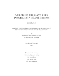 Aspects of the Many-Body Problem in Nuclear Physics