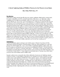 Critical Lightning Induced Wildfire Patterns for the Western Great Basin