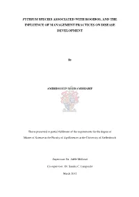 Pythium Species Associated with Rooibos, and the Influence of Management Practices on Disease Development