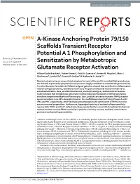 A-Kinase Anchoring Protein 79/150 Scaffolds Transient Receptor Potential a 1 Phosphorylation and Sensitization by Metabotropic G