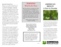 AMERICAN BEECH a Tree in Trouble