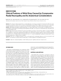 Clinical Features of Wrist Drop Caused by Compressive Radial Neuropathy and Its Anatomical Considerations