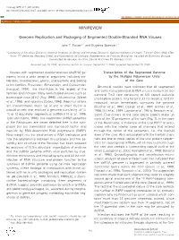 Genome Replication and Packaging of Segmented Double-Stranded RNA Viruses