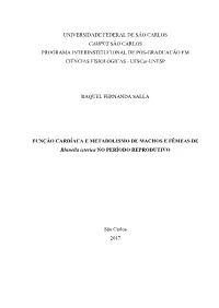 Relação Entre Exercício E Câncer De Cólon