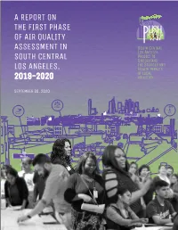 A Report on the First Phase of Air Quality Assessment in South Central Los