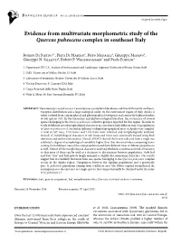 Evidence from Multivariate Morphometric Study of the Quercus Pubescens Complex in Southeast Italy
