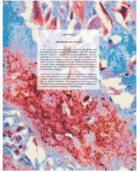Extraskeletal Osteosarcoma Are Retained Under This Heading