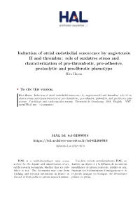 Induction of Atrial Endothelial Senescence by Angiotensin II And
