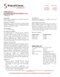 PI4K2B Sirna Set I PI4K2B Sirna Set I