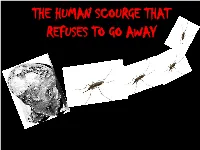 Plasmodium Knowlesi) • Simian Malaria Common in Macaques and Other Monkeys in Southeast Asia
