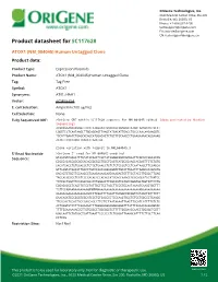 ATOX1 (NM 004045) Human Untagged Clone Product Data