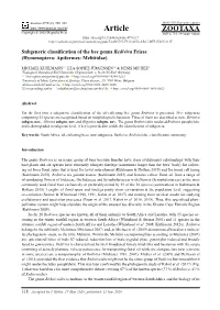 Subgeneric Classification of the Bee Genus Rediviva Friese (Hymenoptera: Apiformes: Melittidae)