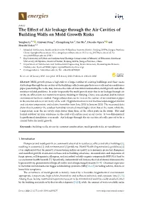 The Effect of Air Leakage Through the Air Cavities of Building Walls on Mold Growth Risks