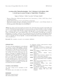 A Revision of the Chilean Brachyglutini – Part 3