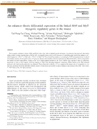 An Enhancer Directs Differential Expression of the Linked Mrf4 and Myf5 Myogenic Regulatory Genes in the Mouse