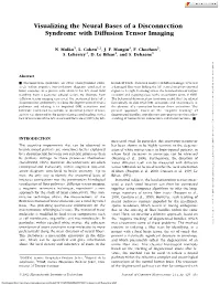 Visualizing the Neural Bases of a Disconnection Syndrome with Diffusion Tensor Imaging