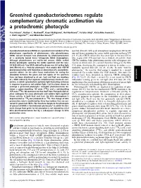 Green/Red Cyanobacteriochromes Regulate Complementary Chromatic Acclimation Via a Protochromic Photocycle