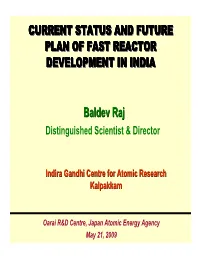 Current Status and Future Plan of Fast Reactor