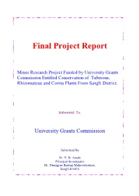 Final Project Report
