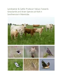 Landowner & Cattle Producer Values Towards Grasslands and Avian