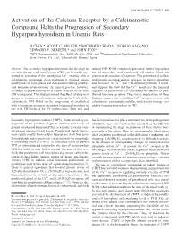 Activation of the Calcium Receptor by a Calcimimetic Compound Halts the Progression of Secondary Hyperparathyroidism in Uremic Rats