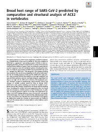 Broad Host Range of SARS-Cov-2 Predicted by Comparative and Structural Analysis of ACE2 in Vertebrates
