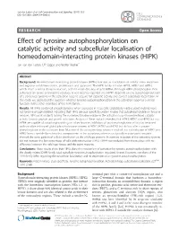 Effect of Tyrosine Autophosphorylation on Catalytic Activity and Subcellular